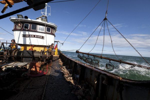 Fishing trawler Susan Bird out at sea. Three fishermen are bringing up the scallop dredger.