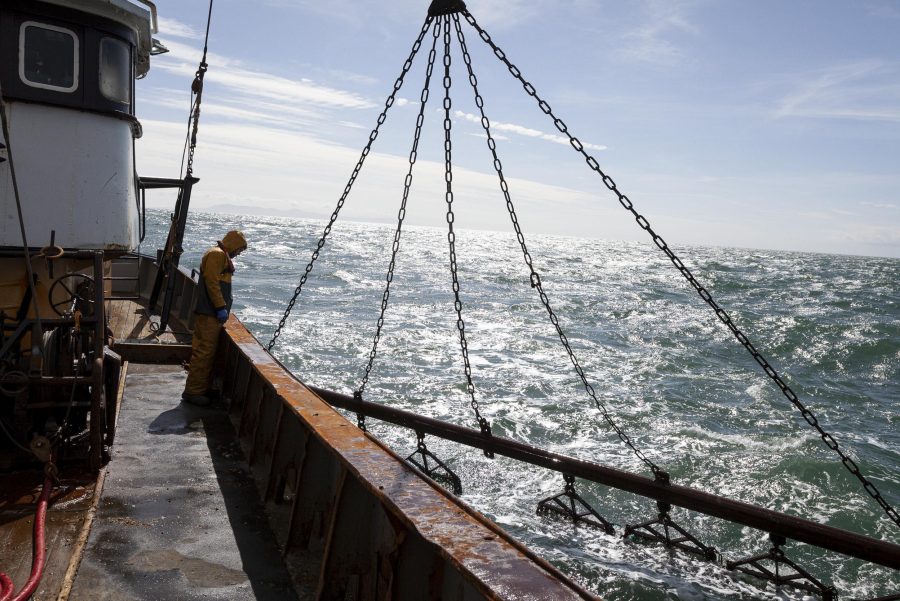 A fisherman is standing on a trawler looking at the dredger coming out of the water.