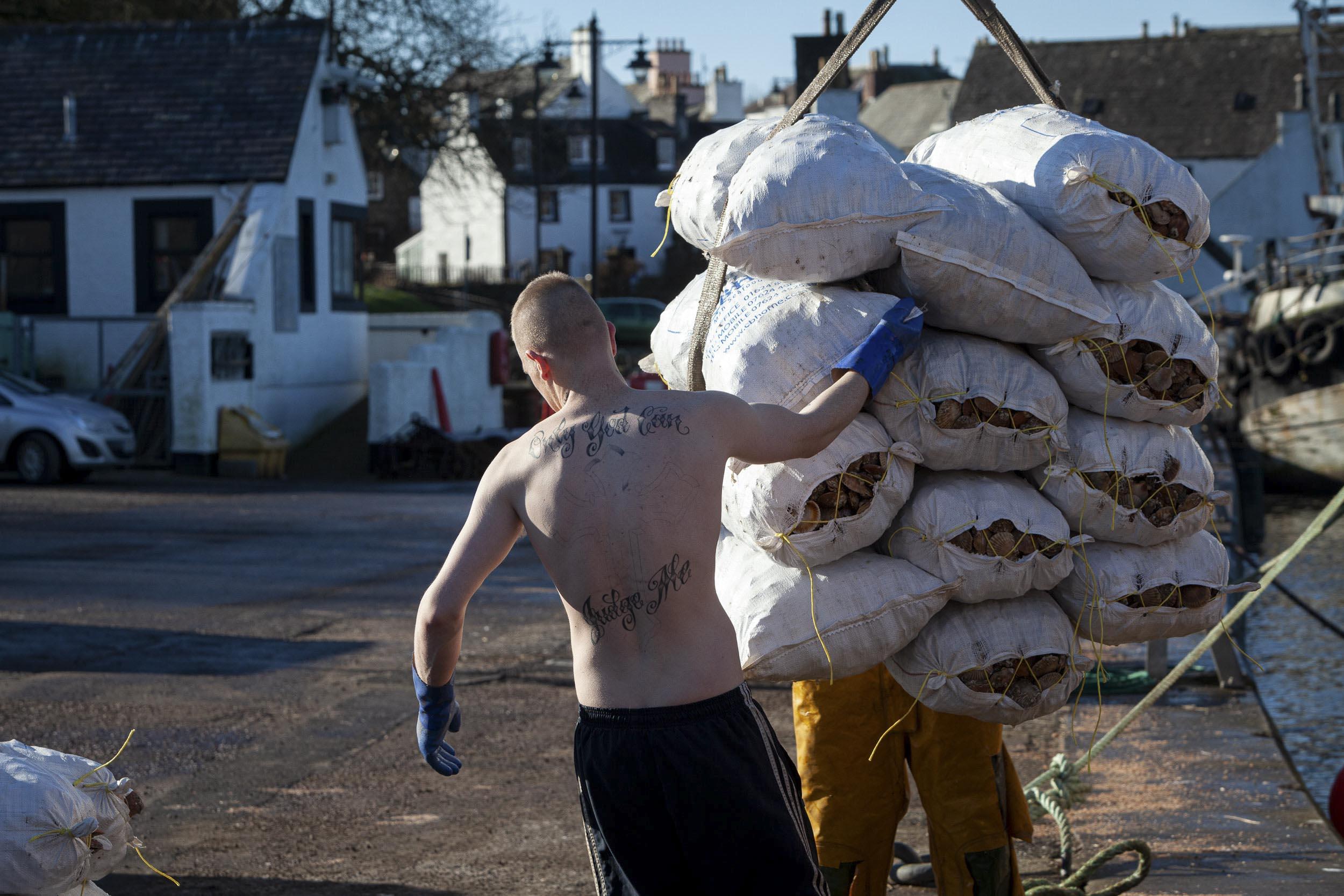Bags of scallops are being hoisted onto a dock from a boat. A person is holding and guiding them.