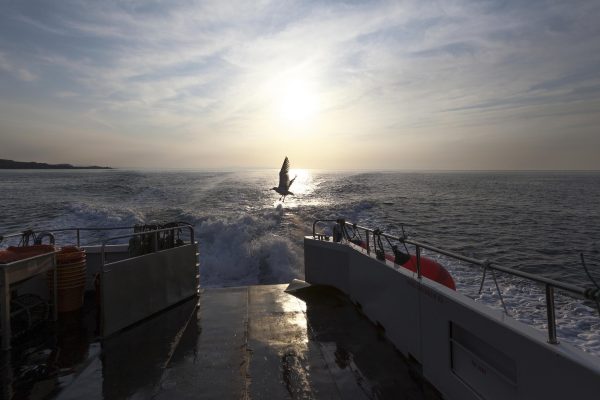 A lone gull flying behind a fishing vessel moving fast at sea.