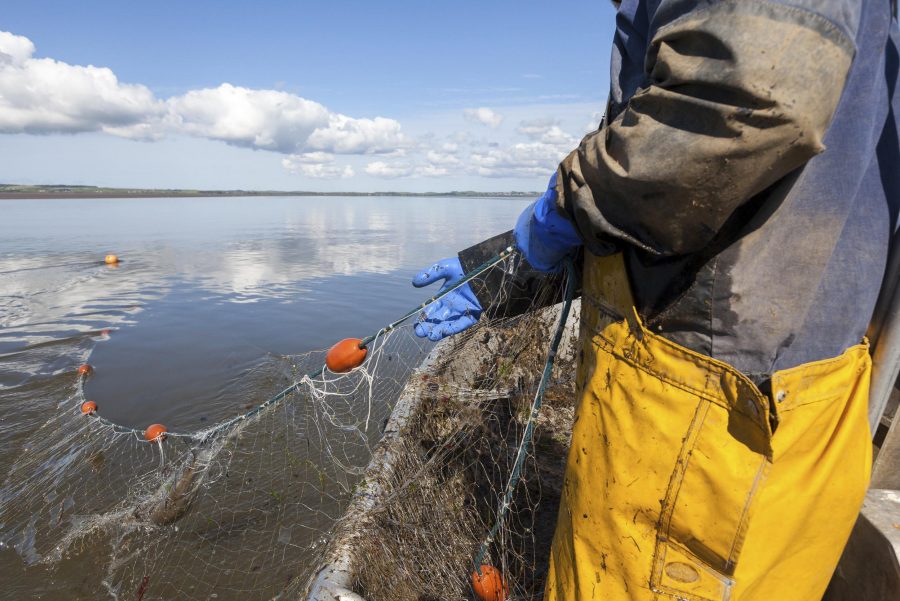 A fisherman pulling in nets on a fishing vessel out at sea.