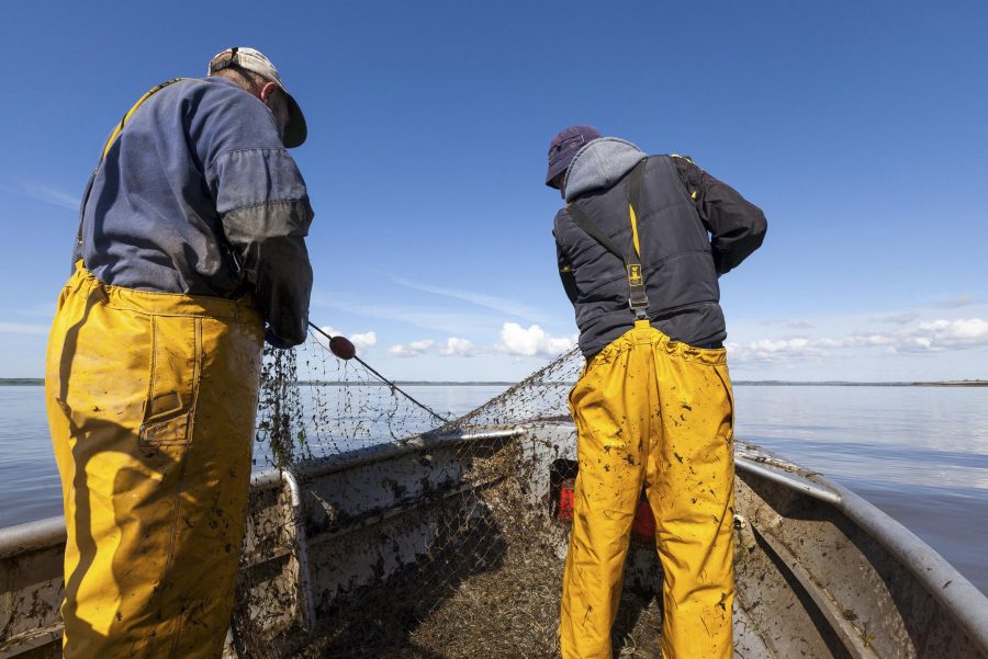 Two fishermen pulling in nets on a fishing vessel out at sea.
