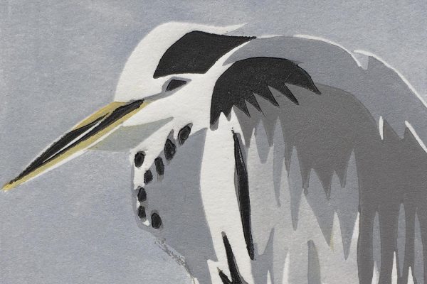 Illustration of a grey heron by Lisa Hooper.