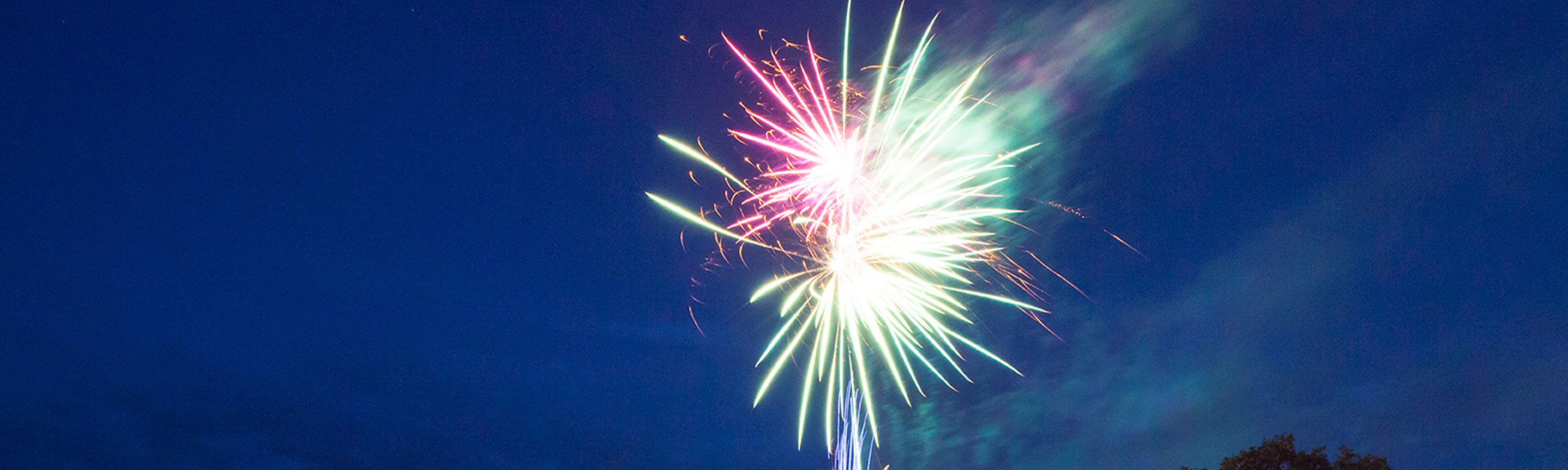 Exploding colourful firework in the night sky.