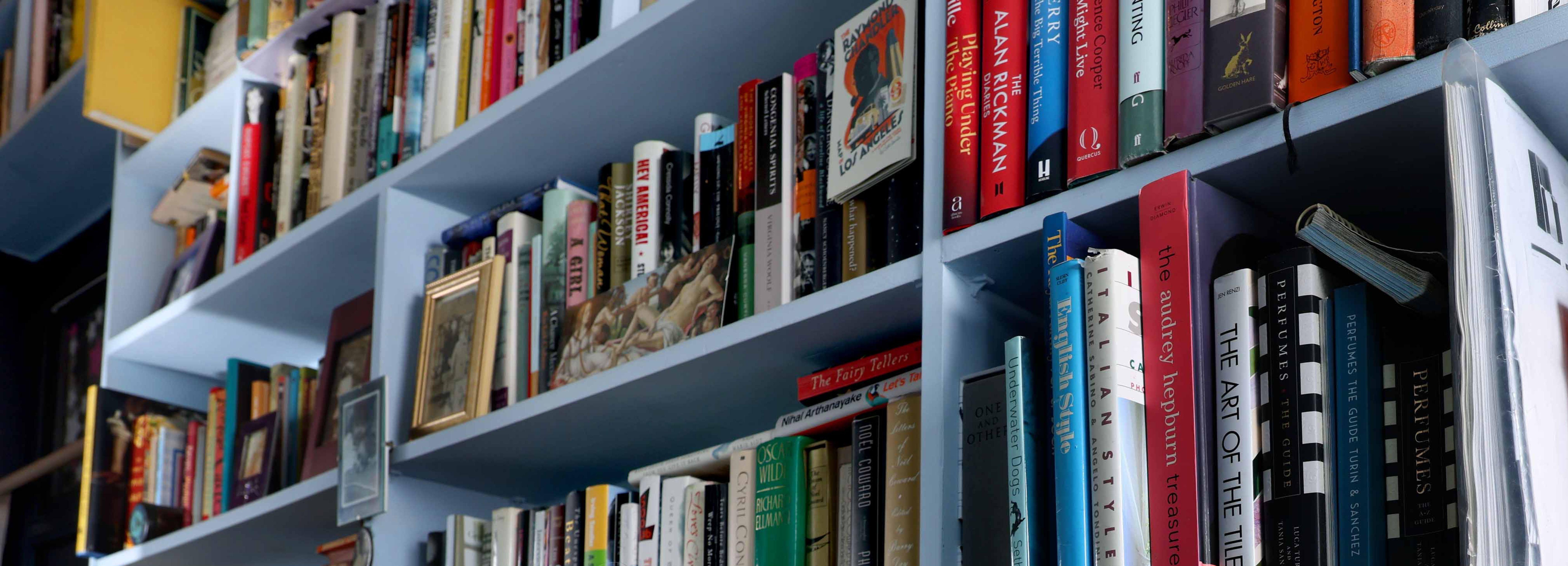 Various books sit on blue bookshelves.