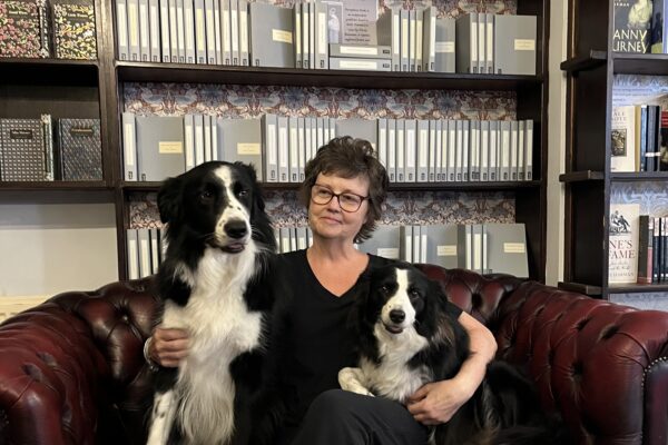 Jacqui in ReadingLasses bookshop sat on chesterfield sofa with two black and white collie dogs