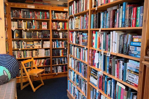 483245904 18383587630112733 8500001370785961609 n