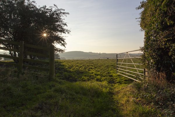Rural location,  looking through a gate into a field. Blue skies with a setting sun.
