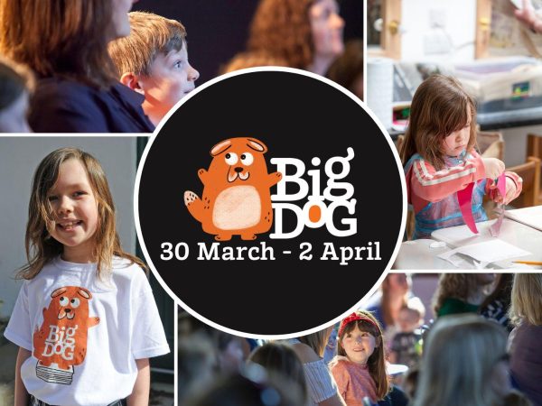 Big Dog Asset SSDA