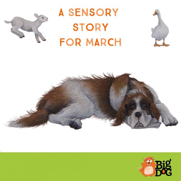A Sensory Story For March 1